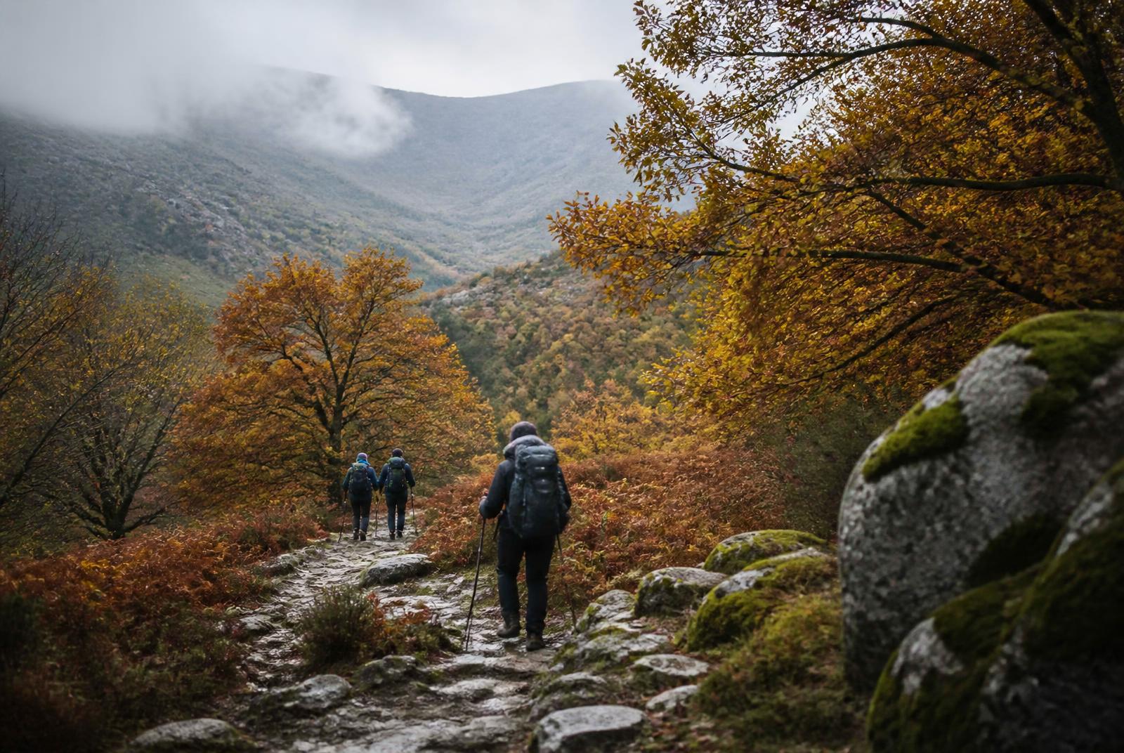 Caminhantes num trilho de outono na Serra da Cabreira