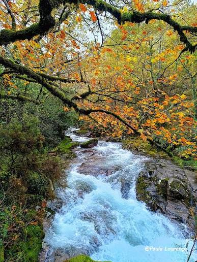 Rio de montanha no Gerês, entre árvores de outono